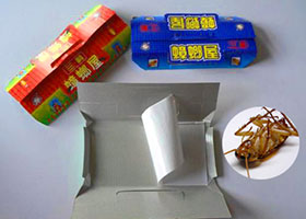蟑螂屋，正邦助你滅蟑除害！